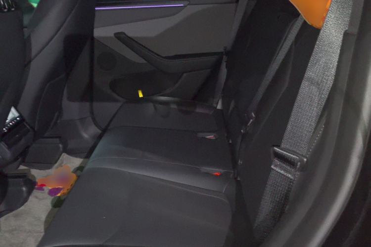 Used Tesla Model Y 2025 Rear-Wheel-Drive Version Left Rear Seat