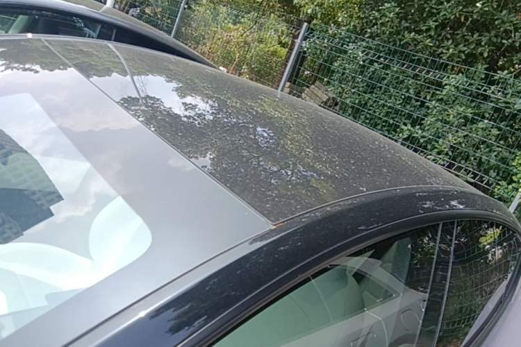 Used Tesla Model Y 2025 Rear-Wheel-Drive Version Roof