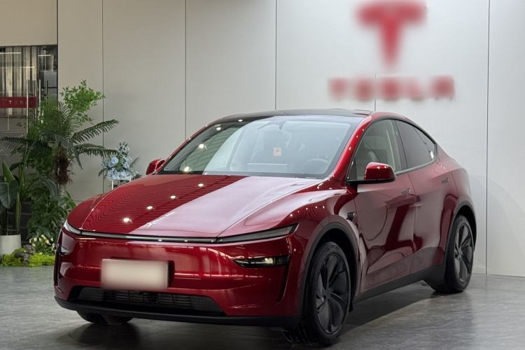 Tesla Model Y 2025 Rear-Wheel-Drive Version