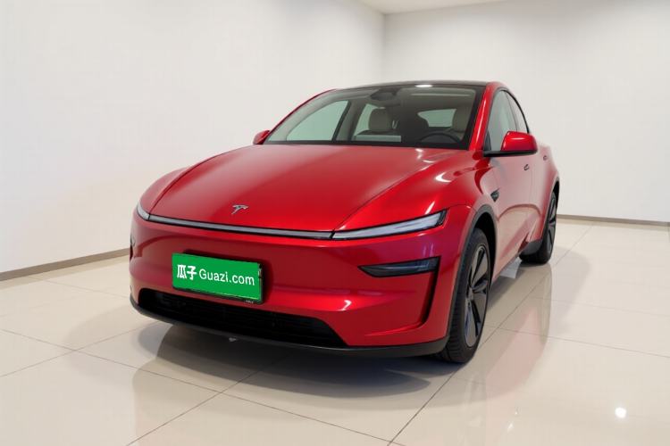 Tesla Model Y 2025 Rear-Wheel-Drive Version