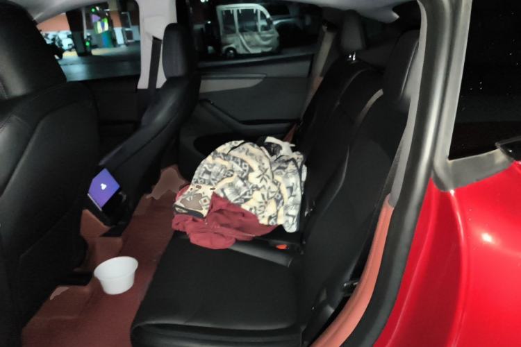 Used Tesla Model Y 2025 Long-Range All-Wheel-Drive Version Left Rear Seat