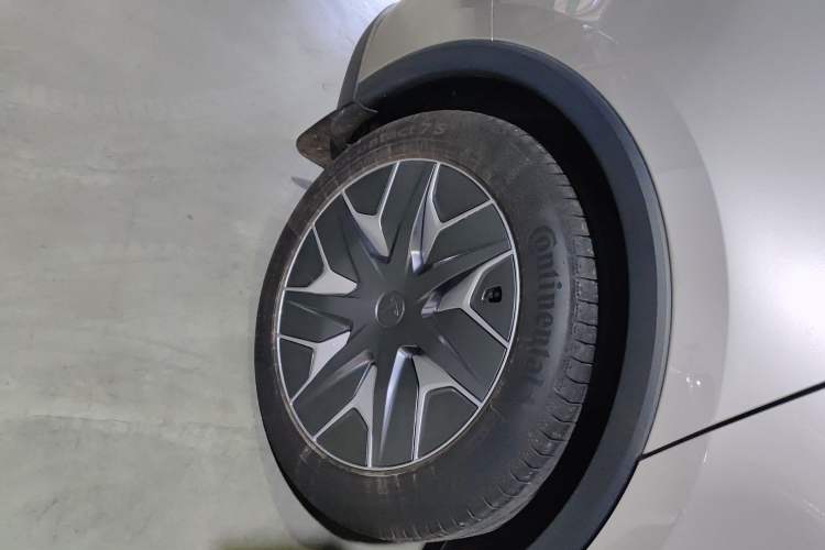 Used Tesla Model Y 2025 Long-Range All-Wheel-Drive Version Exterior 5