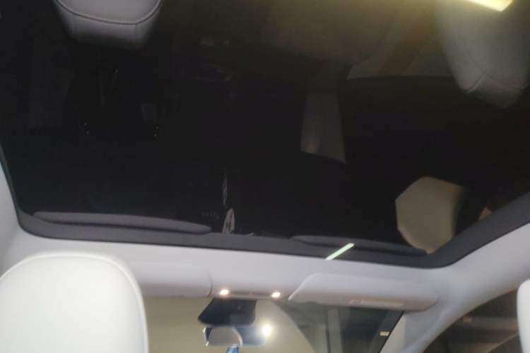 Used Tesla Model Y 2025 Long-Range All-Wheel Drive First Edition Headliner