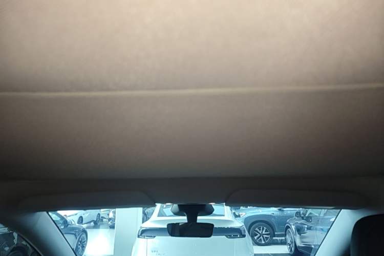 Used Tesla Model Y 2025 Rear-Wheel-Drive Version Headliner