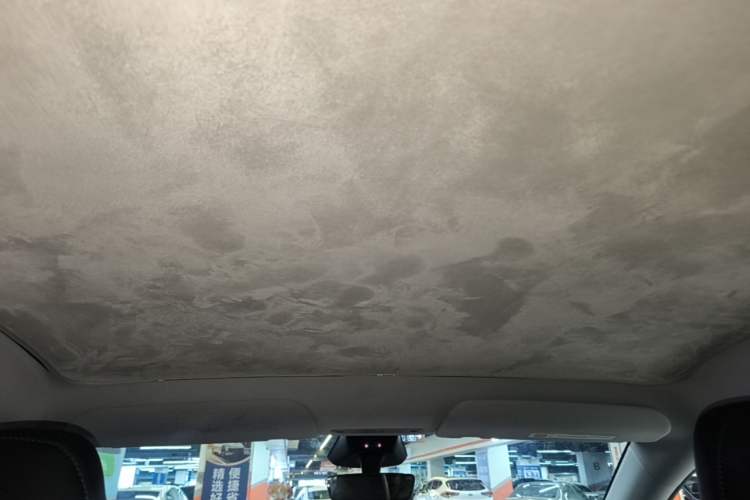 Used Tesla Model Y 2025 Long-Range All-Wheel Drive First Edition Headliner