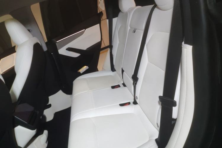 Used Tesla Model Y 2025 Long-Range All-Wheel Drive First Edition Left Rear Seat