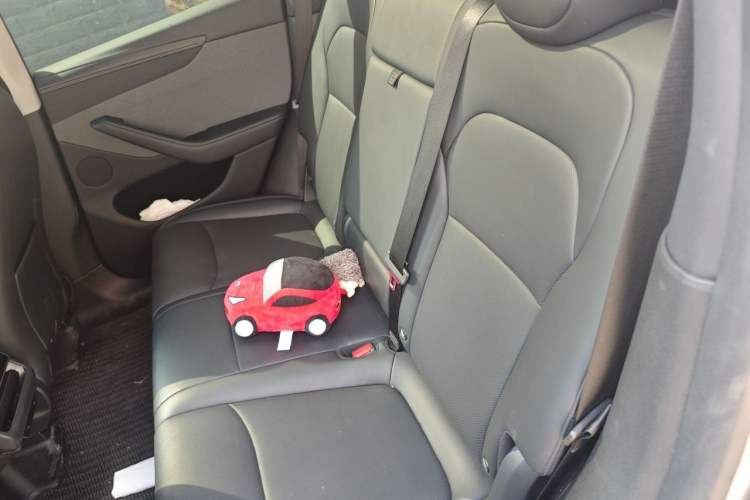 Used Tesla Model Y 2025 Rear-Wheel-Drive Version Left Rear Seat