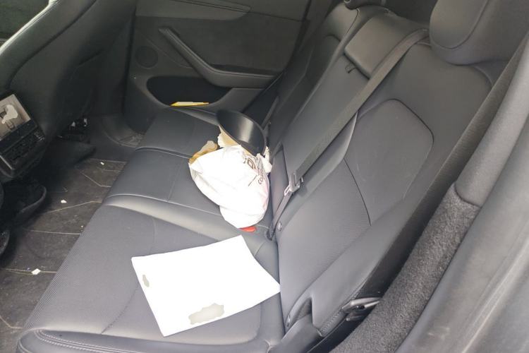 Used Tesla Model Y 2025 Long-Range All-Wheel Drive First Edition Left Rear Seat