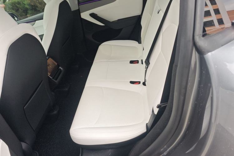 Used Tesla Model Y 2025 Long-Range All-Wheel Drive First Edition Left Rear Seat