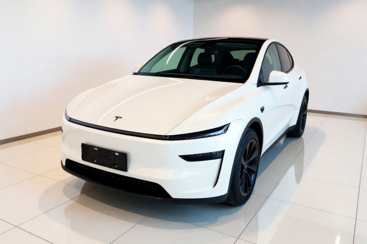 Tesla Model Y 2025 Rear-Wheel-Drive Version