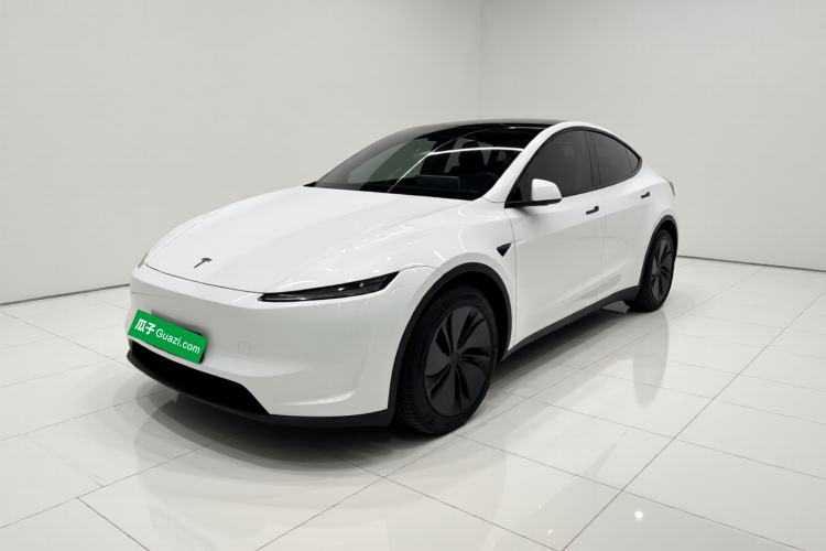 Tesla Model Y 2025 Updated Version Long-Range All-Wheel Drive