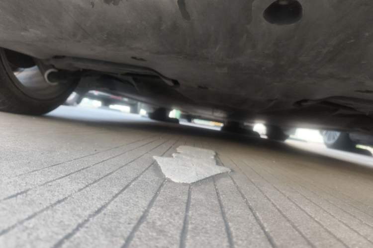 Used Tesla Model Y 2025 Rear-Wheel Drive First Edition Chassis Rear