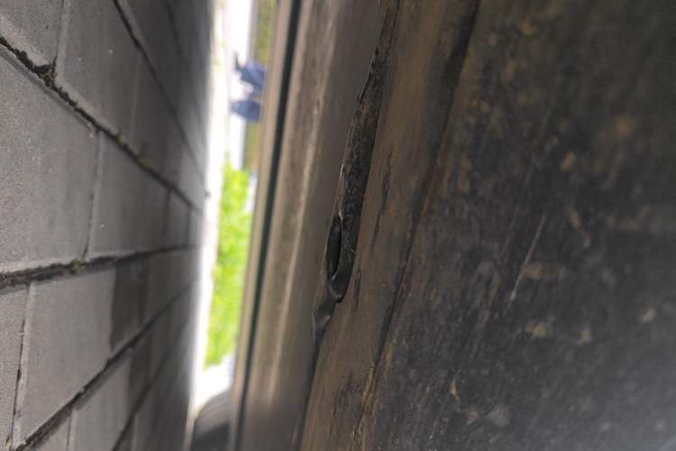 Used Tesla Model Y 2025 Rear-Wheel Drive First Edition Chassis Rear Right