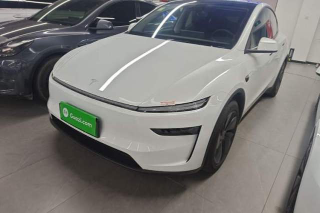 Used Tesla Model Y 2025 Long-Range All-Wheel-Drive Version