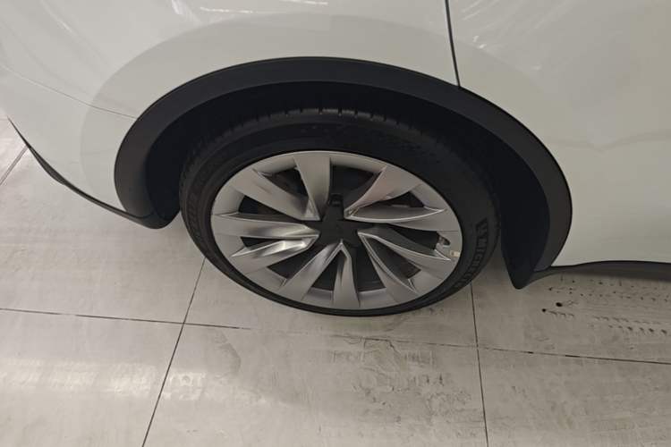 Used Tesla Model Y 2025 Rear-Wheel-Drive Version Exterior 5