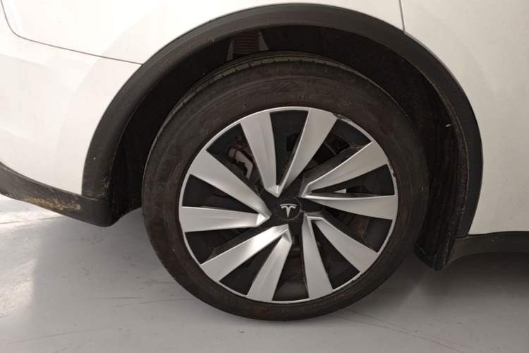 Used Tesla Model Y 2025 Rear-Wheel-Drive Version Exterior 5