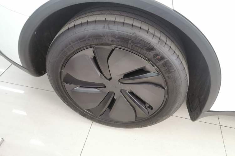 Used Tesla Model Y 2025 Rear-Wheel-Drive Version Exterior 5