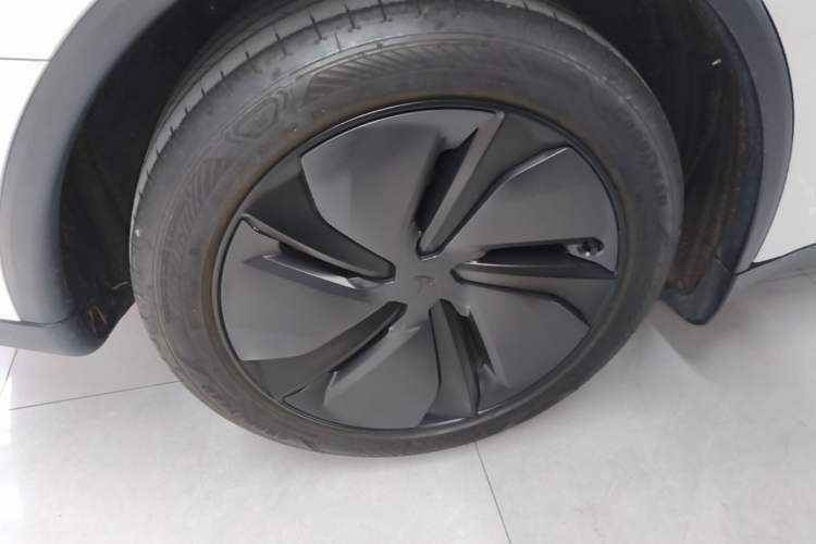 Used Tesla Model Y 2025 Rear-Wheel-Drive Version Exterior 5