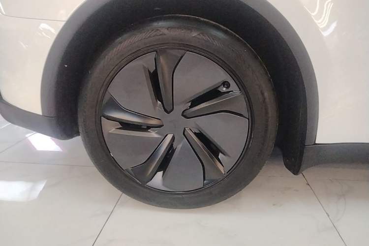 Used Tesla Model Y 2025 Rear-Wheel-Drive Version Exterior 5