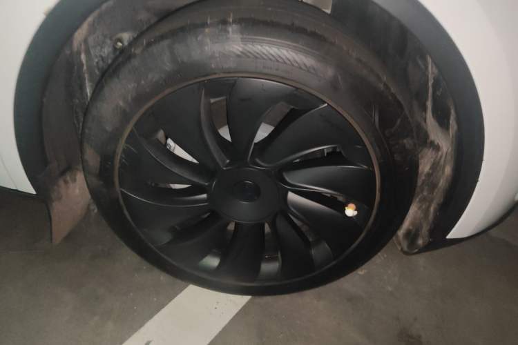 Used Tesla Model Y 2025 Rear-Wheel-Drive Version Exterior 7