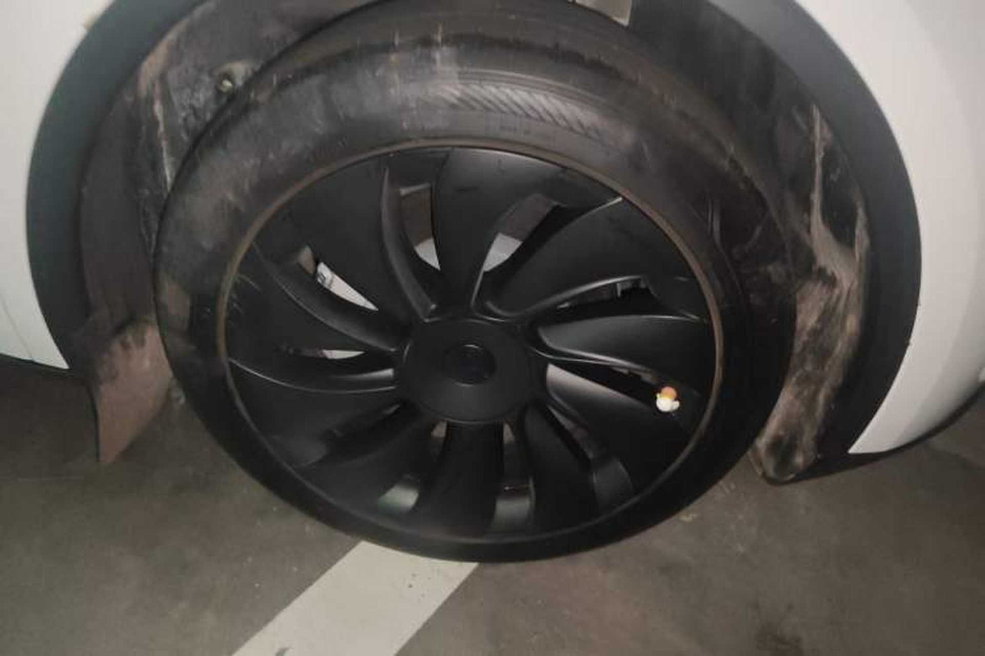 Used Tesla Model Y 2025 Rear-Wheel-Drive Version Exterior 7