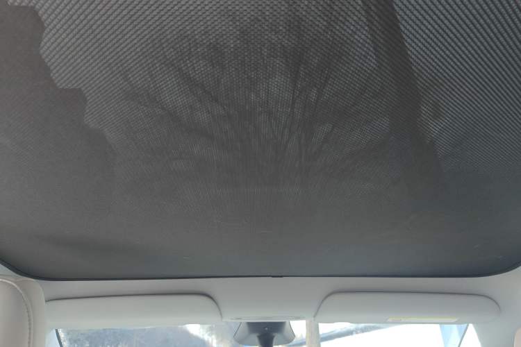 Used Tesla Model Y 2025 Long-Range All-Wheel Drive First Edition Headliner