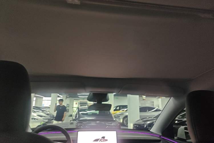 Used Tesla Model Y 2025 Long-Range All-Wheel-Drive Version Headliner