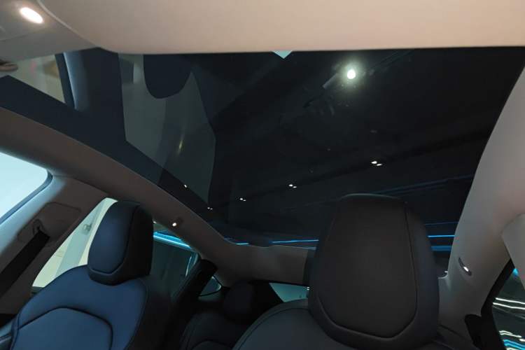 Used Tesla Model Y 2025 Long-Range All-Wheel-Drive Version Headliner