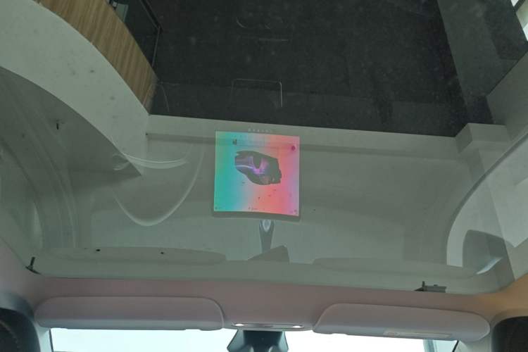 Used Tesla Model Y 2025 Rear-Wheel-Drive Version Headliner