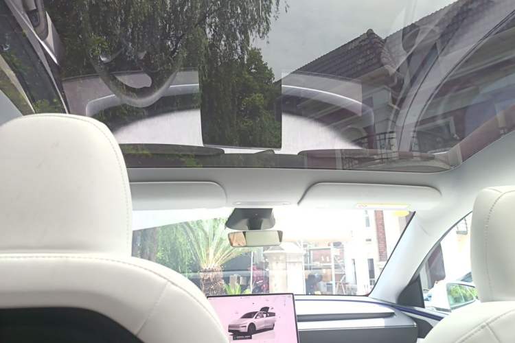 Used Tesla Model Y 2025 Long-Range All-Wheel-Drive Version Headliner