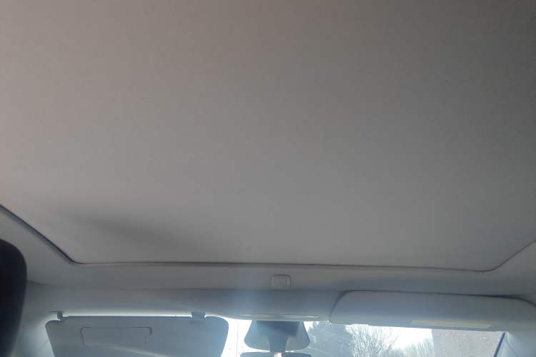 Used Tesla Model Y 2025 Long-Range All-Wheel Drive First Edition Headliner