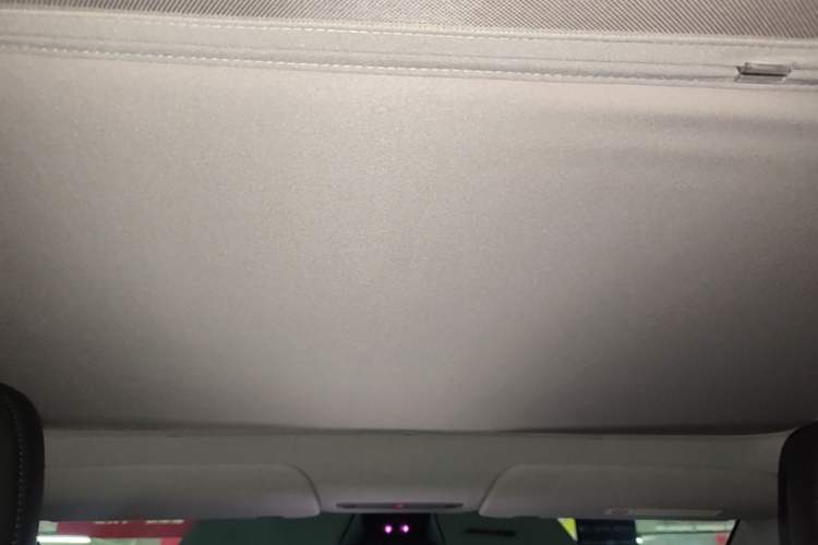 Used Tesla Model Y 2025 Rear-Wheel-Drive Version Headliner