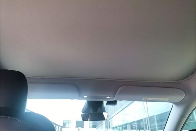 Used Tesla Model Y 2025 Rear-Wheel Drive First Edition Headliner