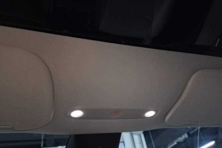 Used Tesla Model Y 2025 Long-Range All-Wheel-Drive Version Headliner