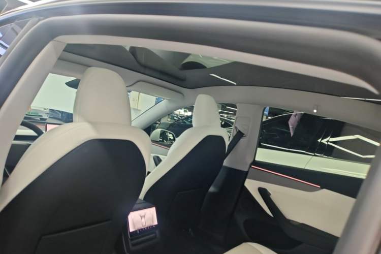 Used Tesla Model Y 2025 Rear-Wheel-Drive Version Headliner