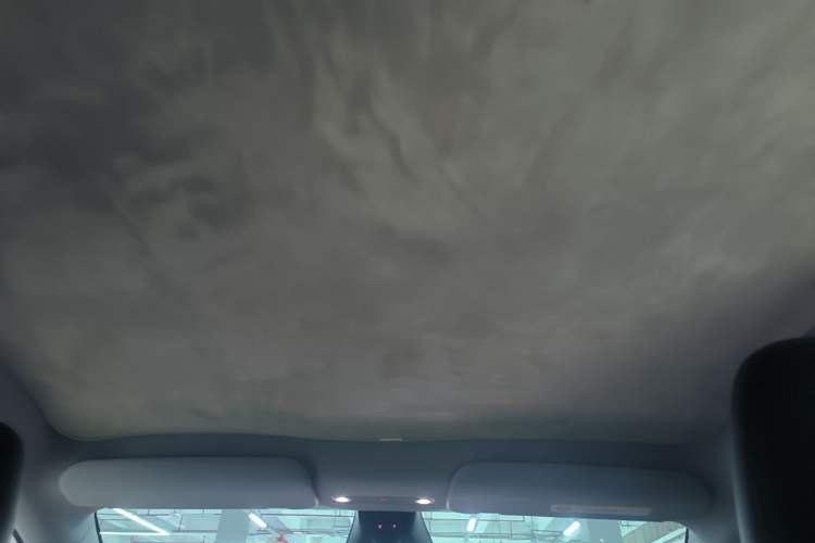Used Tesla Model Y 2025 Long-Range All-Wheel Drive First Edition Headliner