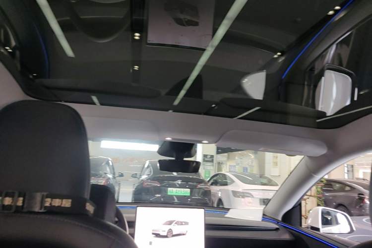 Used Tesla Model Y 2025 Long-Range All-Wheel-Drive Version Headliner