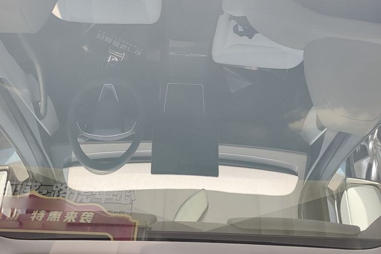 Used Tesla Model Y 2025 Long-Range All-Wheel-Drive Version Headliner