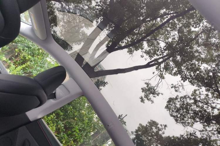 Used Tesla Model Y 2025 Rear-Wheel-Drive Version Headliner