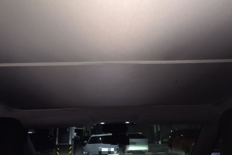 Used Tesla Model Y 2025 Rear-Wheel-Drive Version Headliner
