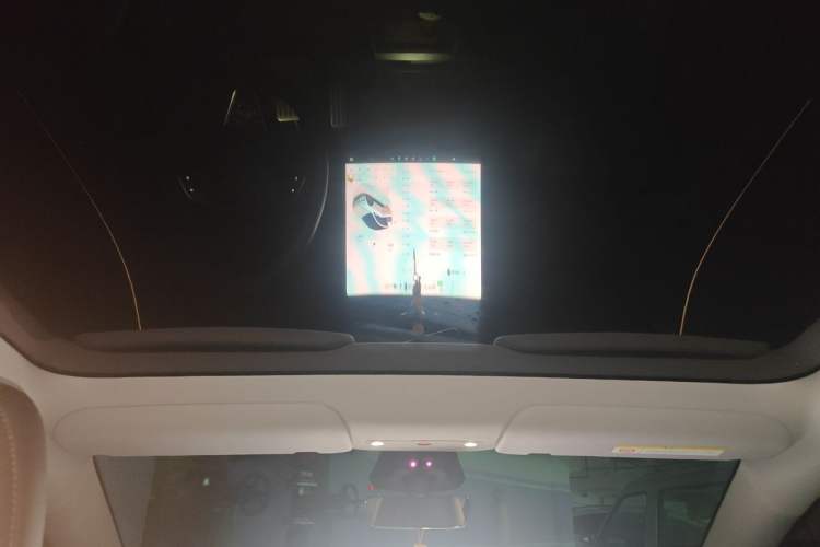 Used Tesla Model Y 2025 Rear-Wheel-Drive Version Headliner