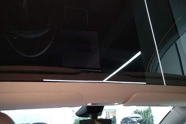 Used Tesla Model Y 2025 Rear-Wheel Drive First Edition Headliner