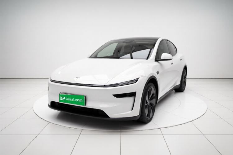 Tesla Model Y 2025 Long-Range All-Wheel-Drive Version