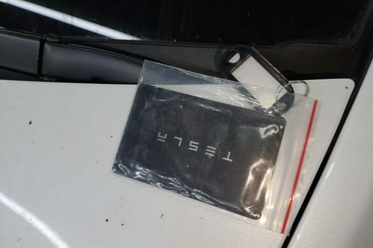 Used Tesla Model Y 2025 Updated Version Long-Range All-Wheel Drive Interior 1