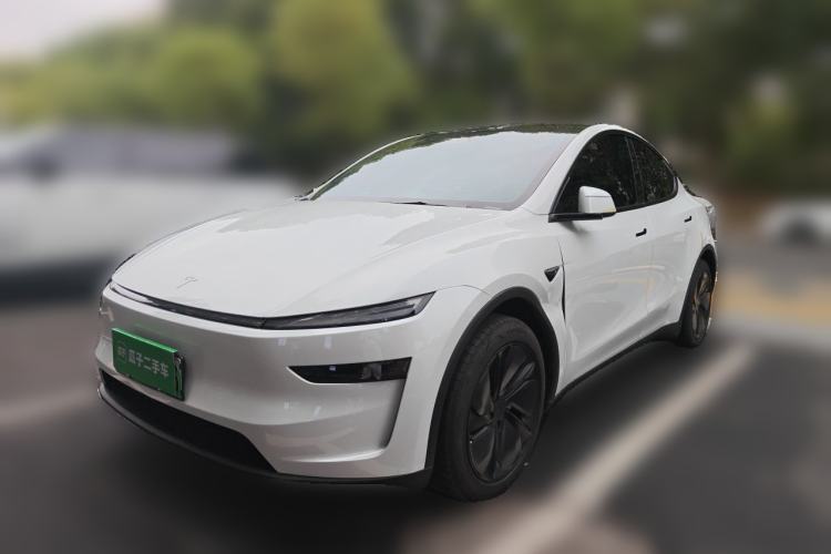 Tesla Model Y 2025 Rear-Wheel-Drive Version