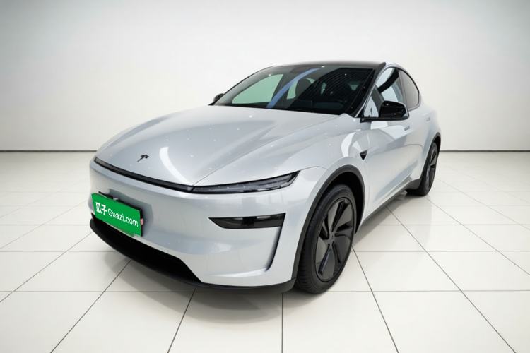 Tesla Model Y 2025 Rear-Wheel-Drive Version