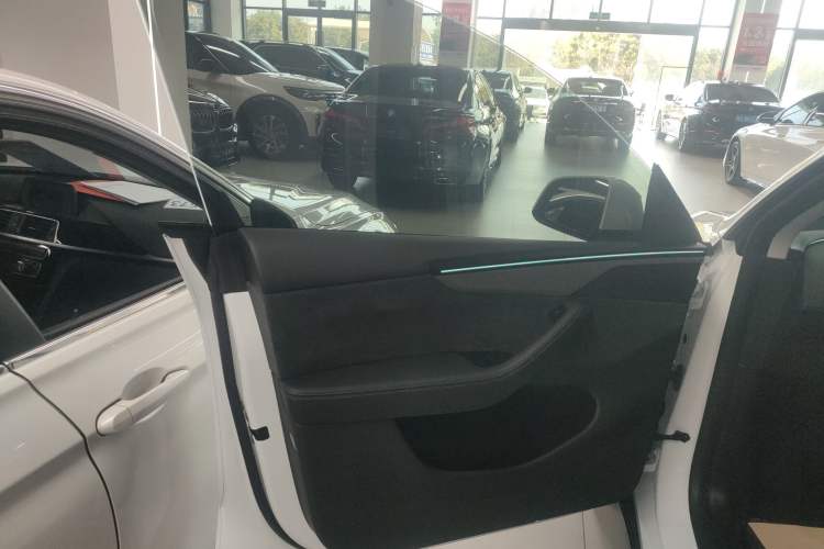 Used Tesla Model Y 2025 Long-Range All-Wheel-Drive Version Left Front Door Interior