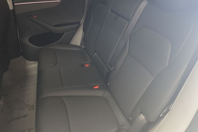 Used Tesla Model Y 2025 Updated Version Long-Range All-Wheel Drive Left Rear Seat