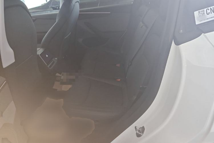 Used Tesla Model Y 2025 Rear-Wheel-Drive Version Left Rear Seat