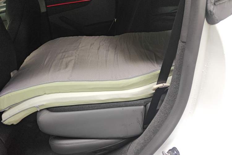 Used Tesla Model Y 2025 Rear-Wheel-Drive Version Left Rear Seat